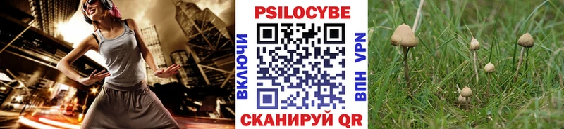 Псилоцибиновые грибы мухоморы  Анапа 